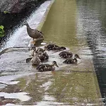 Murgseehuette * Murg