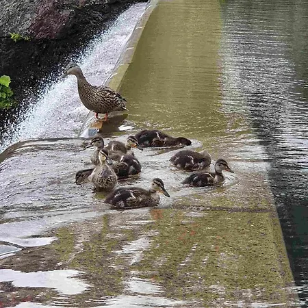 Murgseehuette * Murg