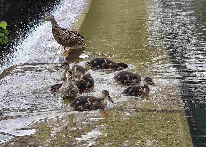 Murgseehuette * Murg